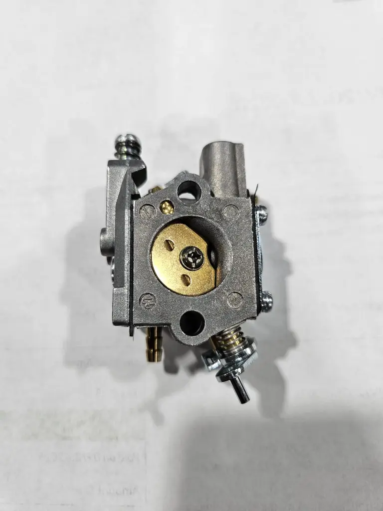 WhatsApp Image 2025-02-27 at 12.04.51 PM (1).webp