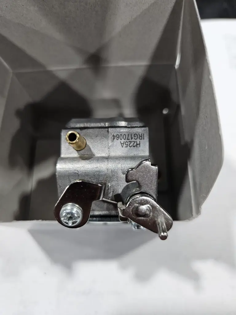 WhatsApp Image 2025-02-27 at 12.36.29 PM.webp